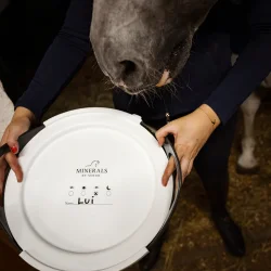 Lg + Flexi Foderskl Minerals by Nordic 10 L