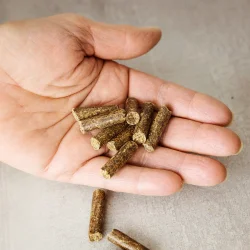 Hestegodbidder - Mini - ble og Gulerod - 2 kg refill