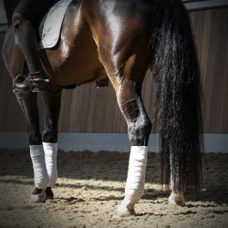 Detangler Multi Serum 250 ml