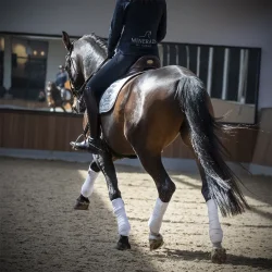 Multi Glow Spray 500 ml