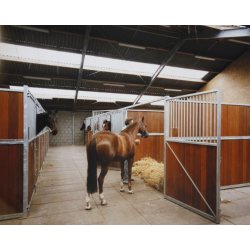 Udmugnings muligheder