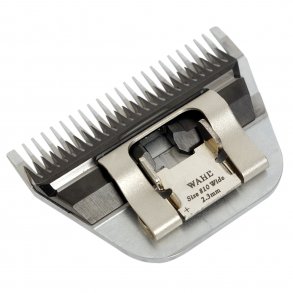 Pool Sk&aelig;r Avalon