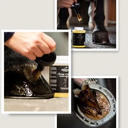 Caring Hoof Oil 500 ml
