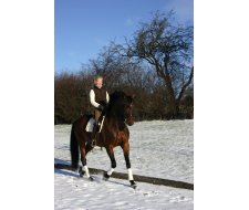Ridebane udstyr